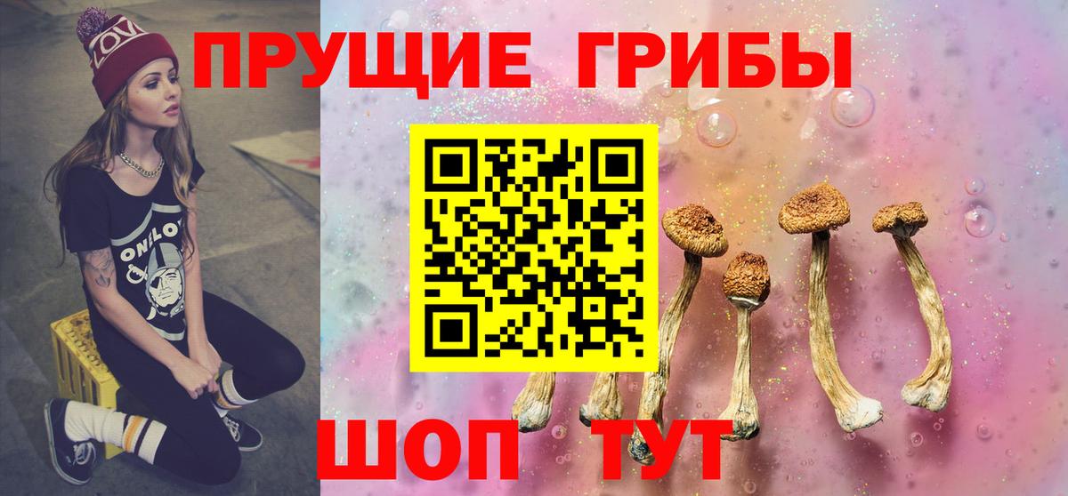 Псилоцибиновые грибы MAGIC MUSHROOMS  продажа наркотиков  Когалым  Вход с VPN 