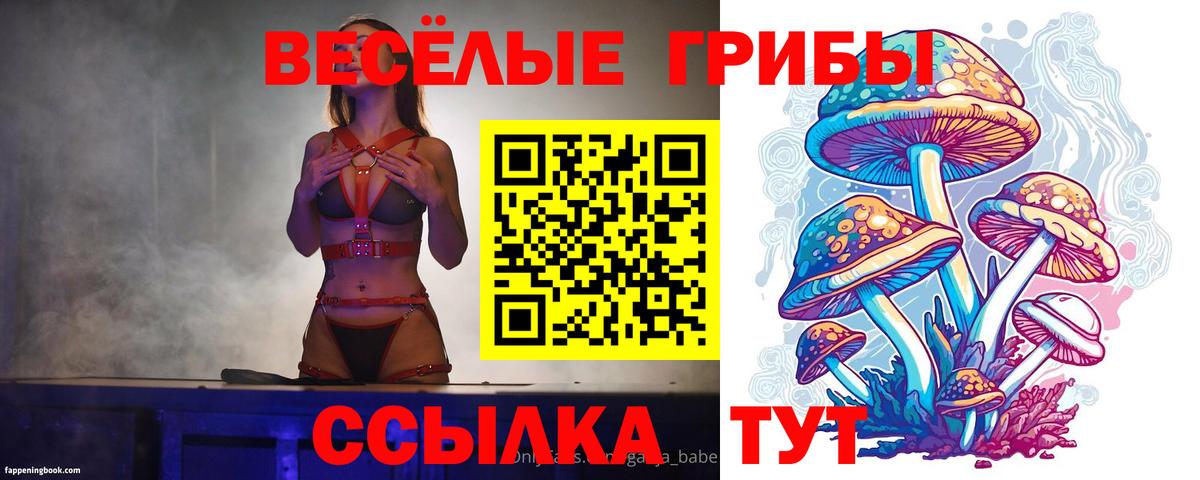 Галлюциногенные грибы Psilocybe Когалым